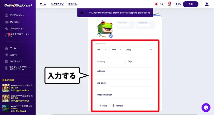 プロフィール情報